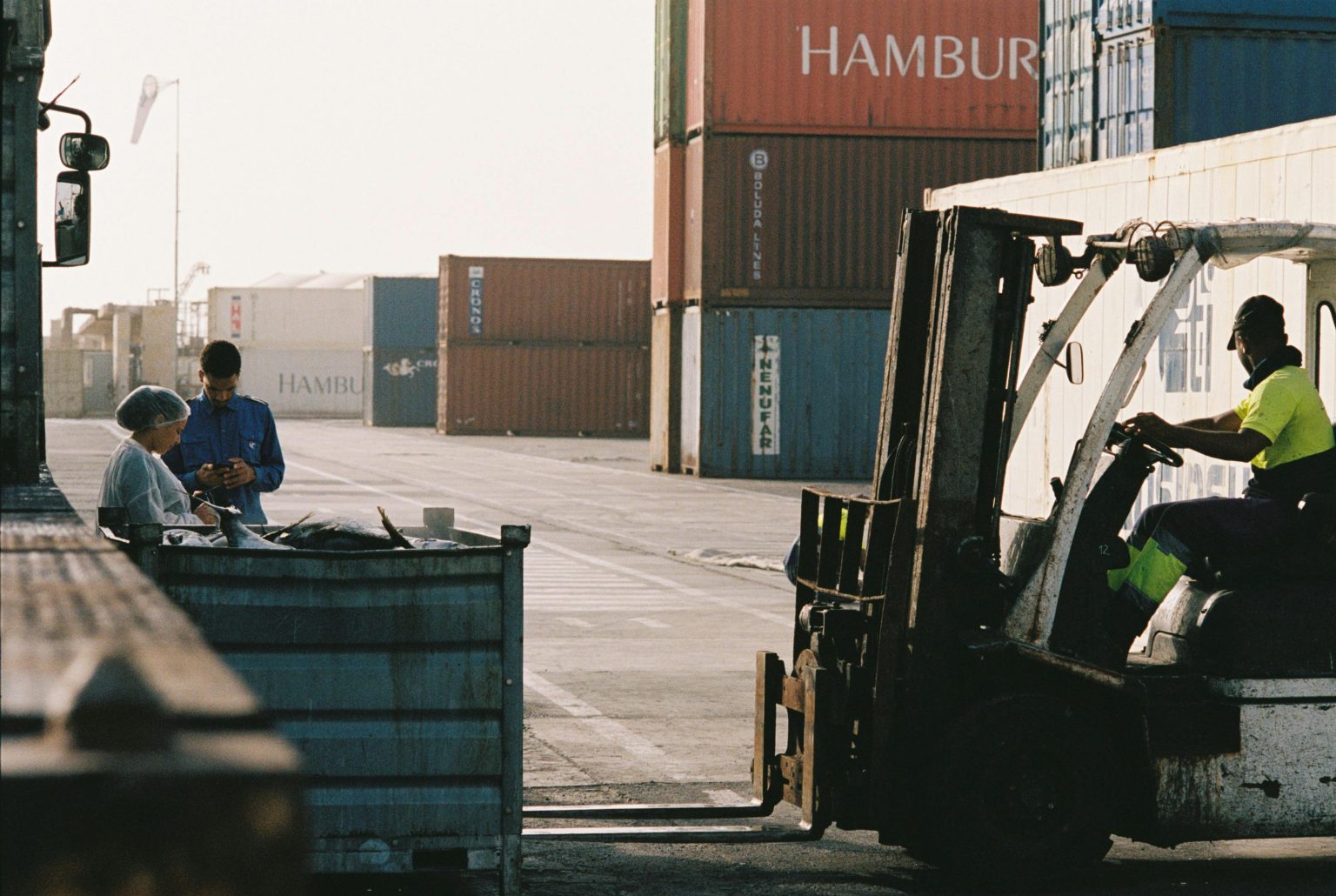 Inicio - Alpha Logistics